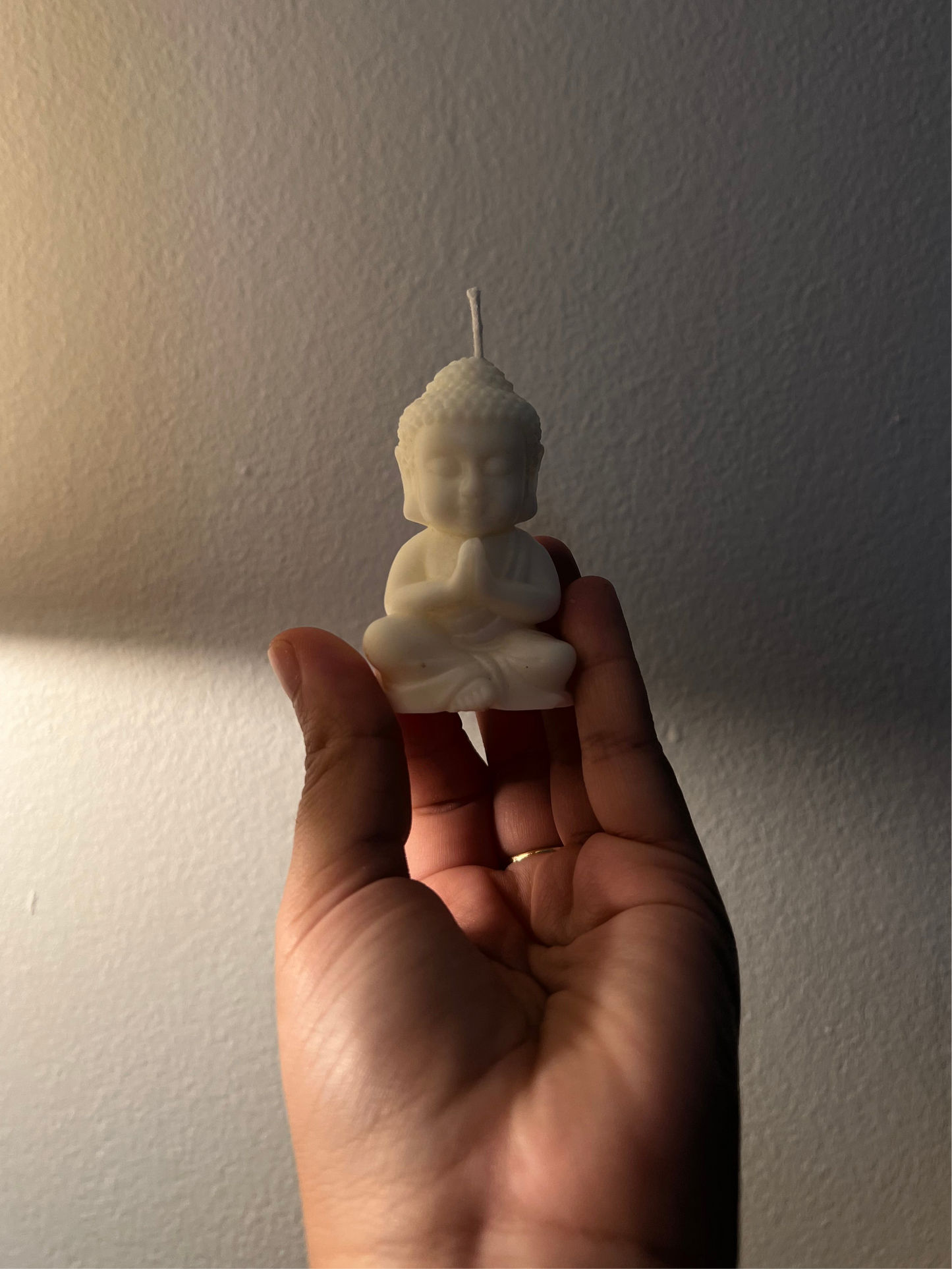 Vela Buda (mini)